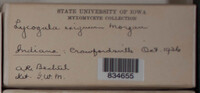 Image Associated With the Occurence